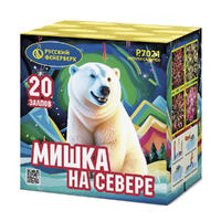 Мишка на севере